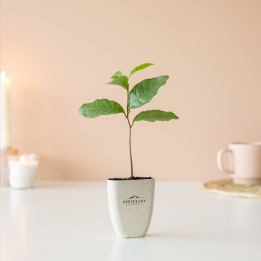 Logo trade mainoslahjat ja liikelahjat kuva: Treemore Letterbox Trees Teekasvi