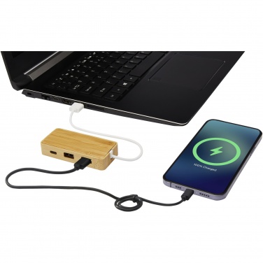 Logotrade reklaminės dovanos nuotrauka: Tapas bambuko USB šakotuvas