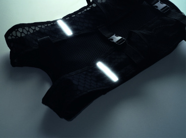 Логотрейд pекламные cувениры картинка: Sports backpack 420D PU