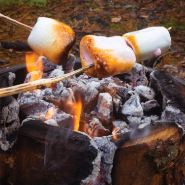 Logotrade kampanjprodukter bild: Eco Grill XL
